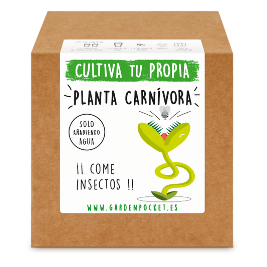 Kits de cultivo – Planta carnívora Venus Les Trouvailles de Tolède