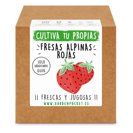 Kits de cultivo – Fresas rojas Les Trouvailles de Tolède