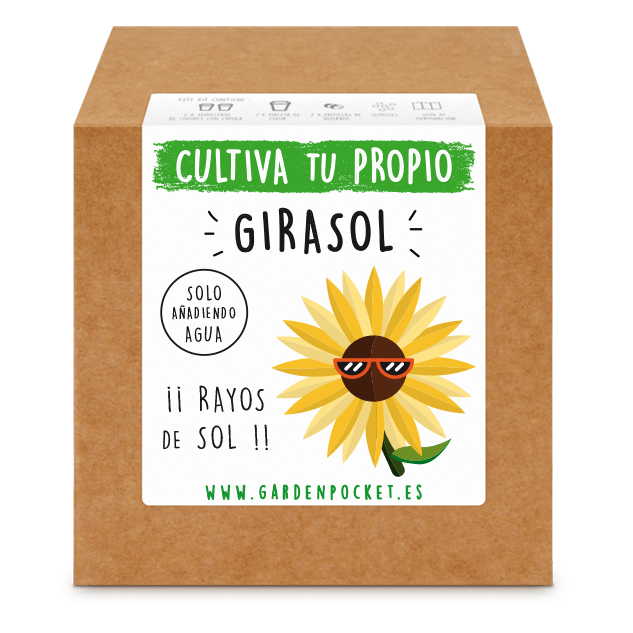 Kits de cultivo – Girasol Les Trouvailles de Tolède