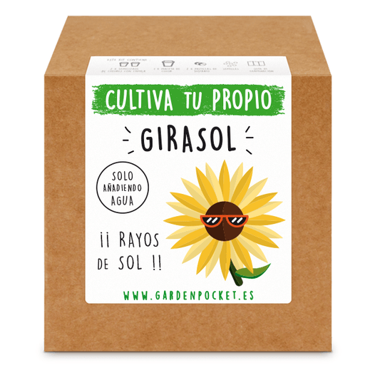 Kits de cultivo – Girasol Les Trouvailles de Tolède