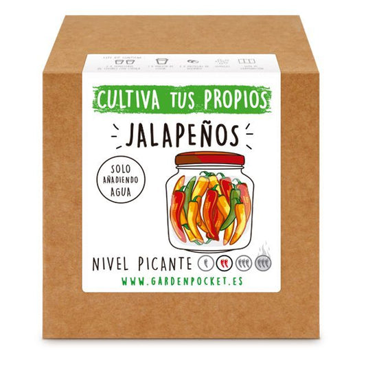 Kits de cultivo – Trébol cuatro hojas Les Trouvailles de Tolède