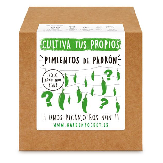 Kits de cultivo – Pimiento de padrón Les Trouvailles de Tolède