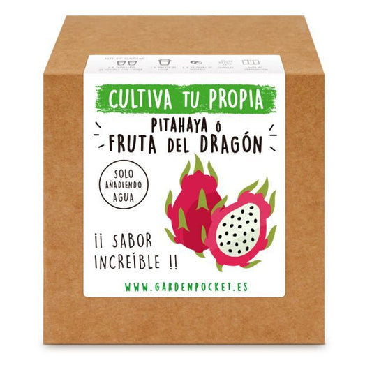 Kits de cultivo – Pitahaya Les Trouvailles de Tolède